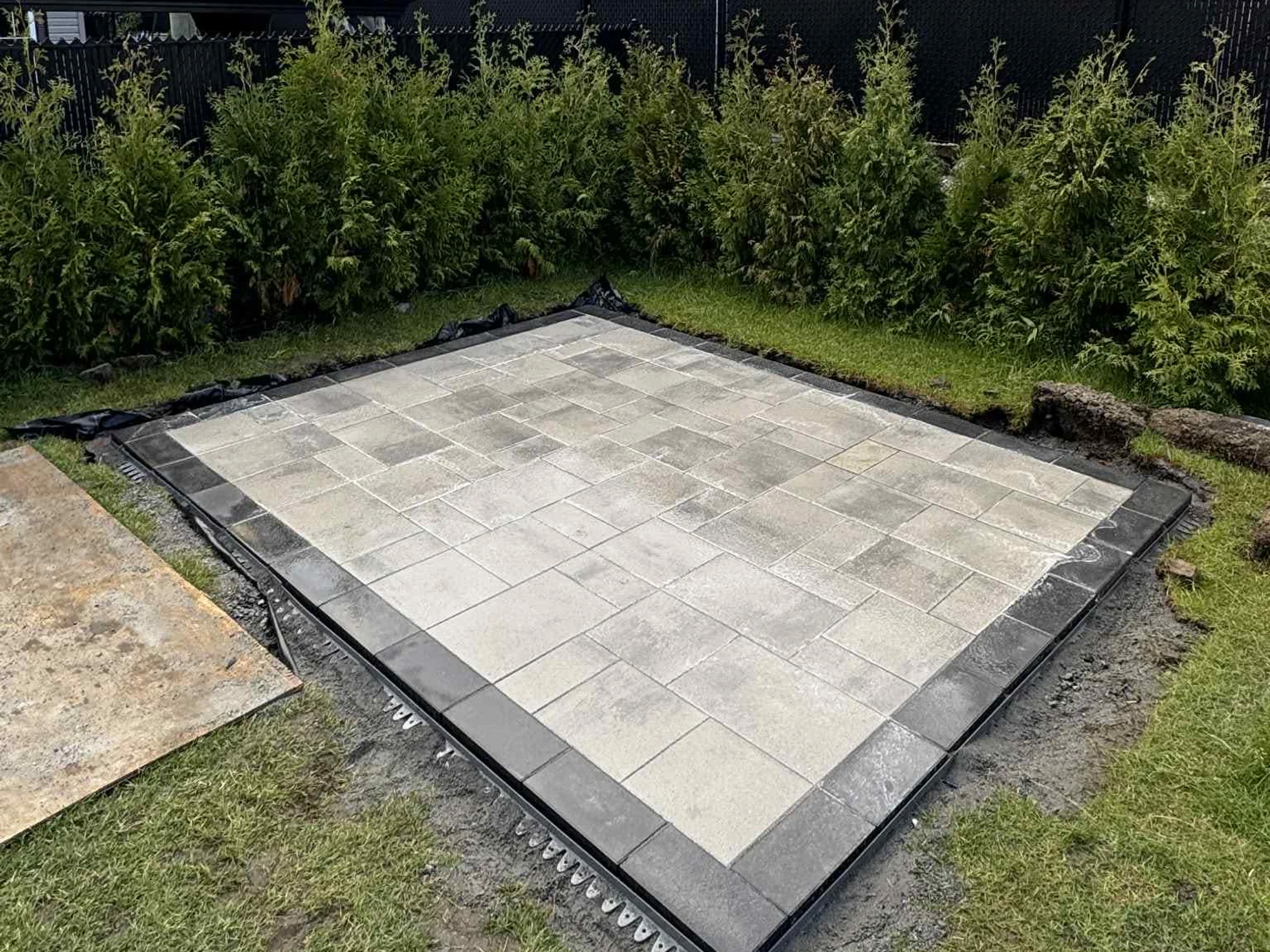 Patio en dalles de béton gris terminé, bordé de pavé foncé, dans une cour arrière avec haie de cèdres.